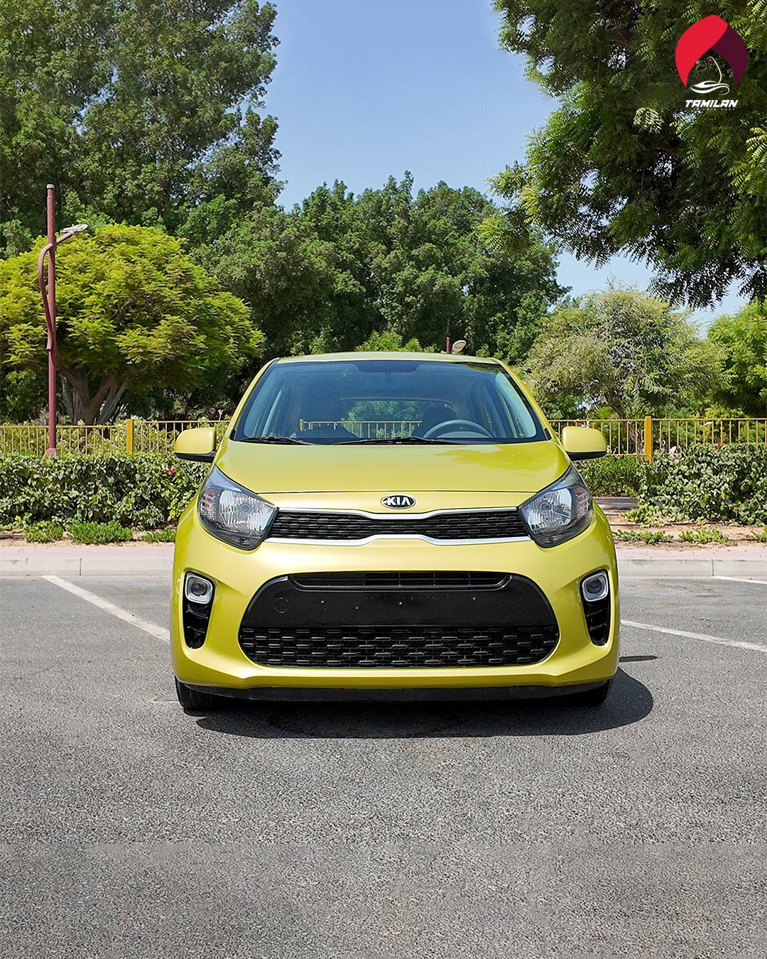 
								2020 | Kia Picanto | Green full									