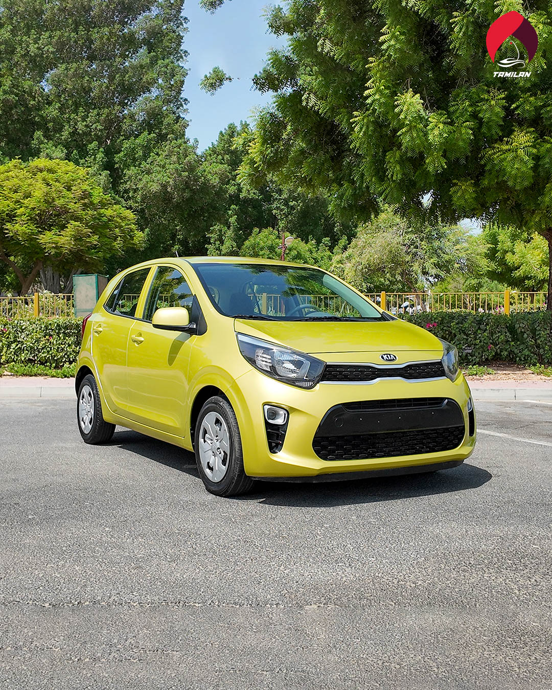 
								2020 | Kia Picanto | Green full									