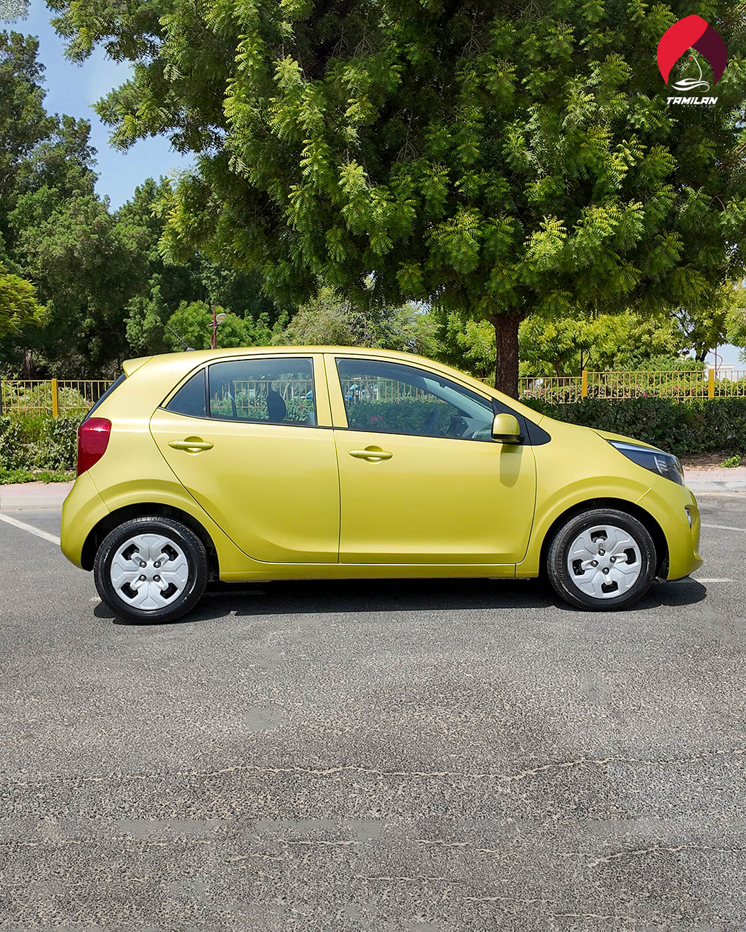 
								2020 | Kia Picanto | Green full									