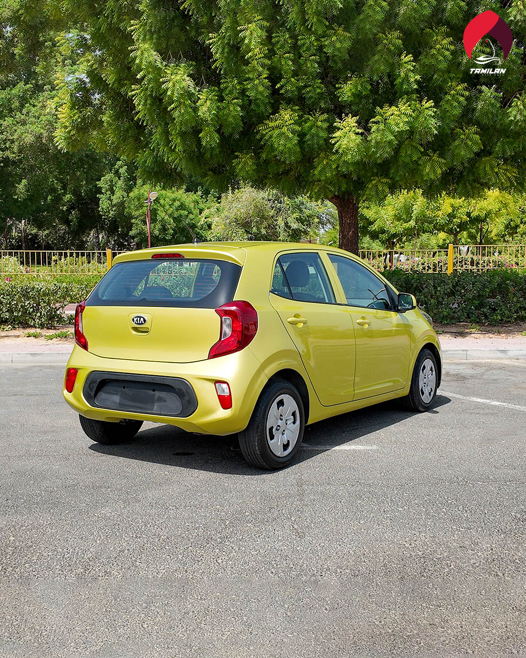 
								2020 | Kia Picanto | Green full									