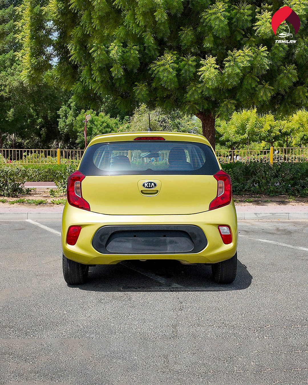 
								2020 | Kia Picanto | Green full									