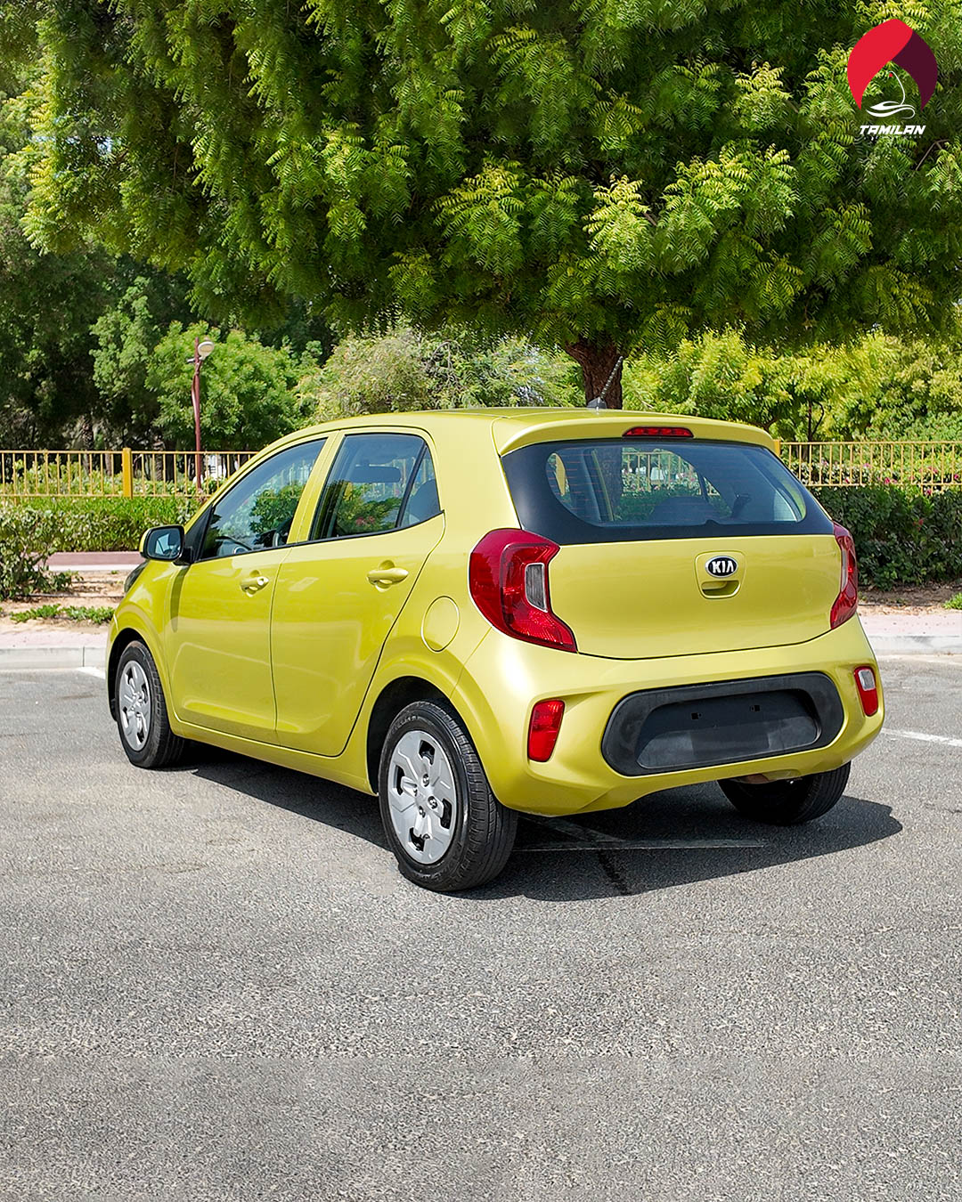 
								2020 | Kia Picanto | Green full									