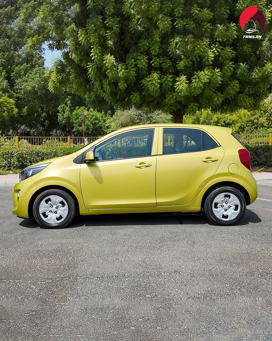
								2020 | Kia Picanto | Green full									