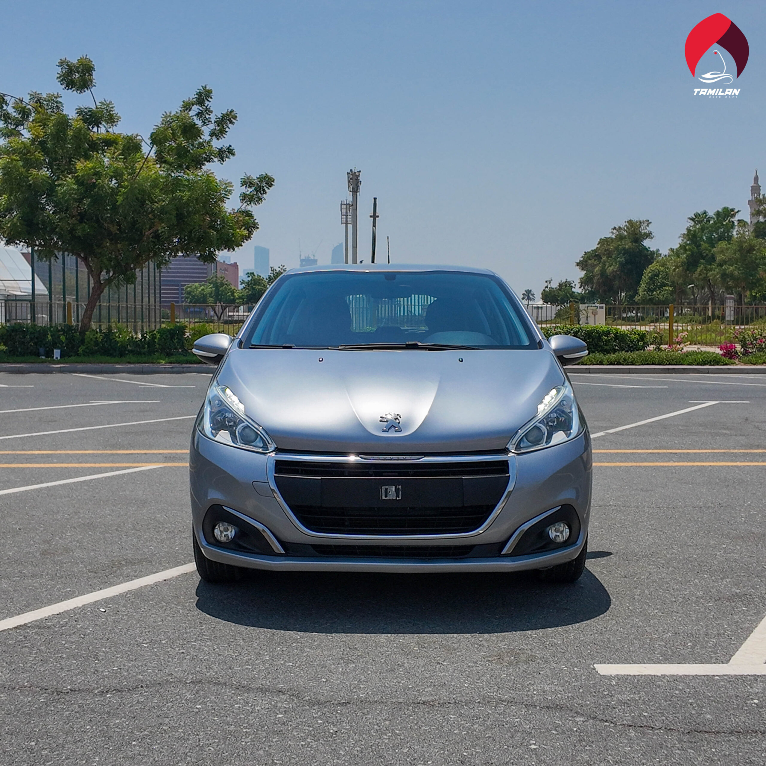 
								2019 | Peugeot 208 | Silver full									