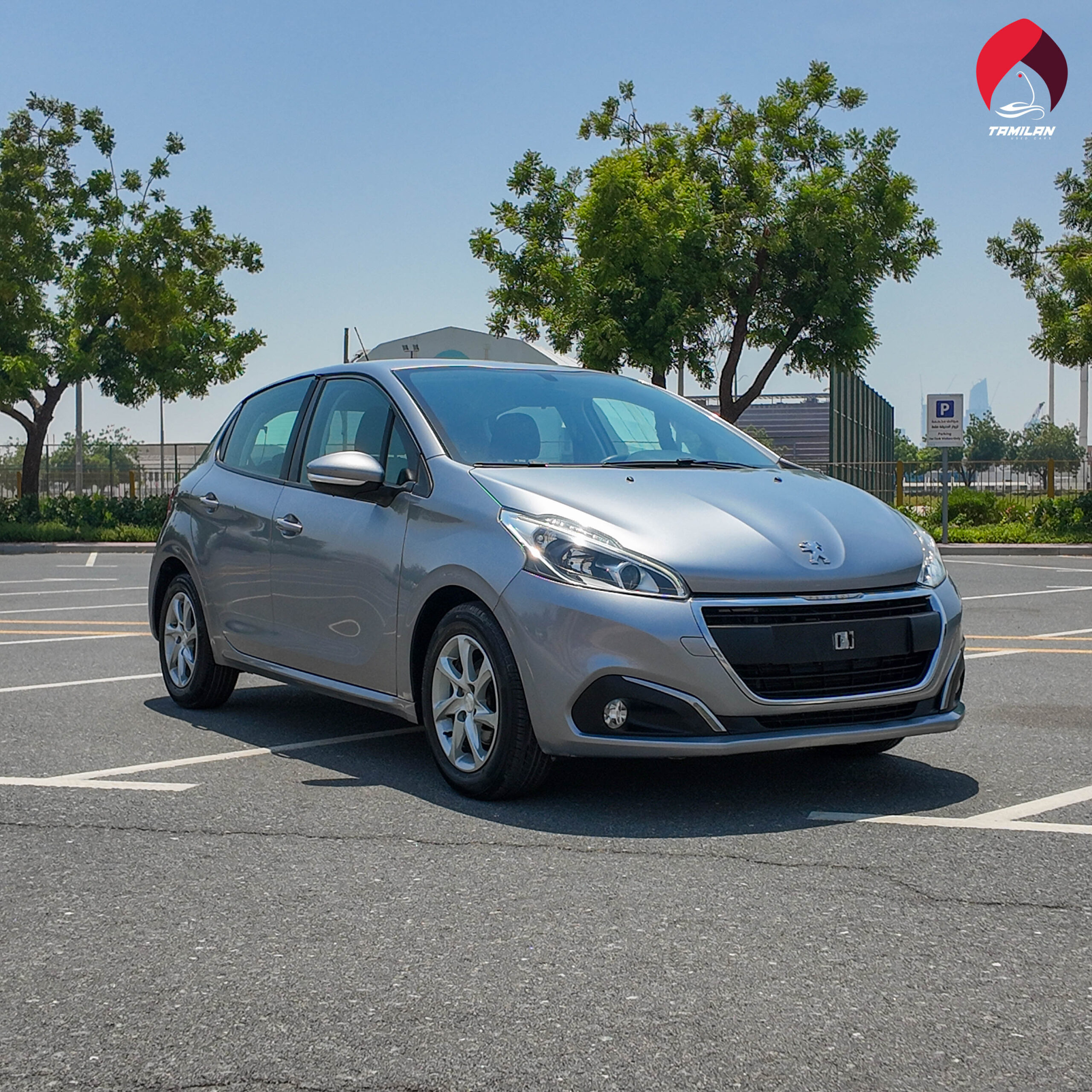 
								2019 | Peugeot 208 | Silver full									