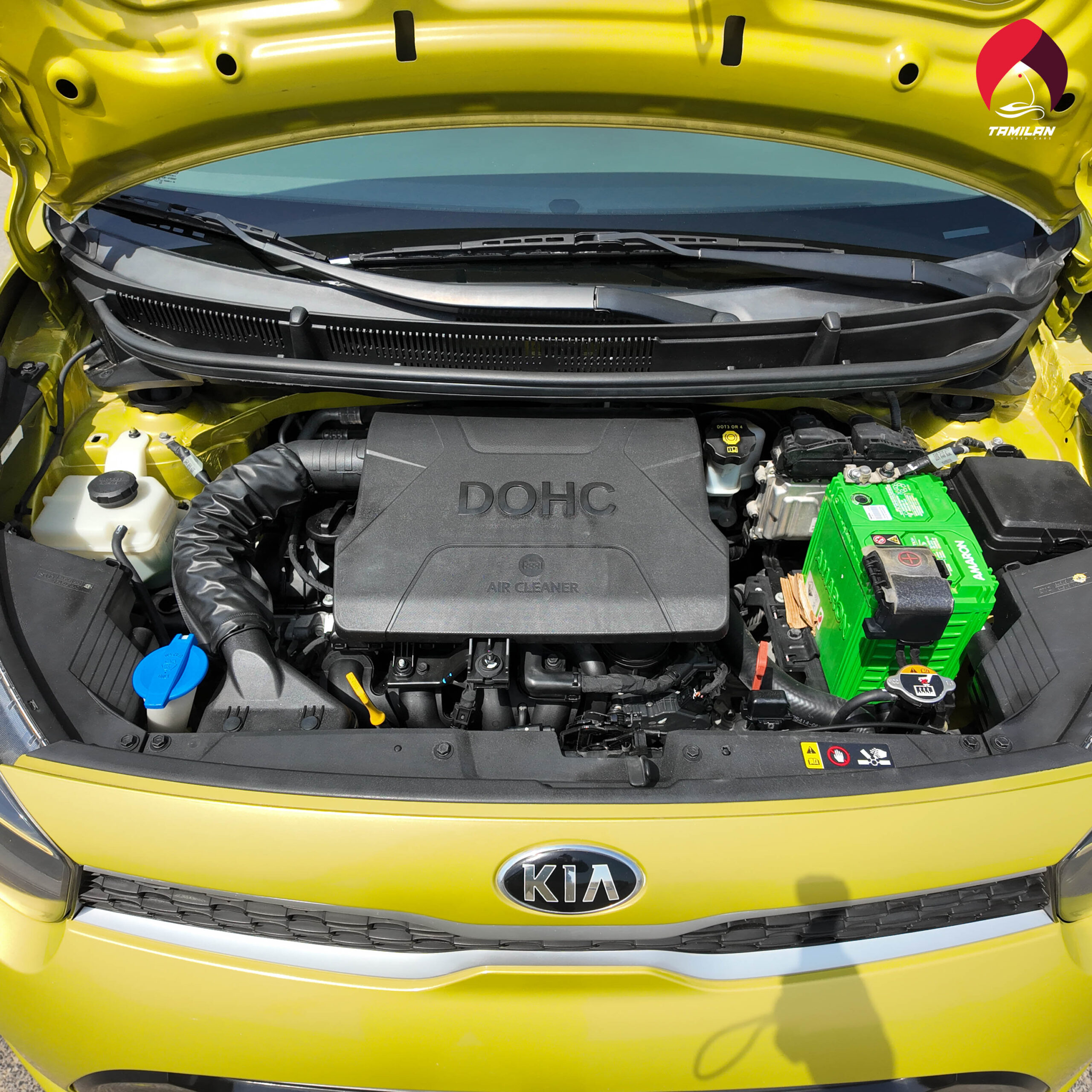 
								2020 | Kia Picanto | Green full									