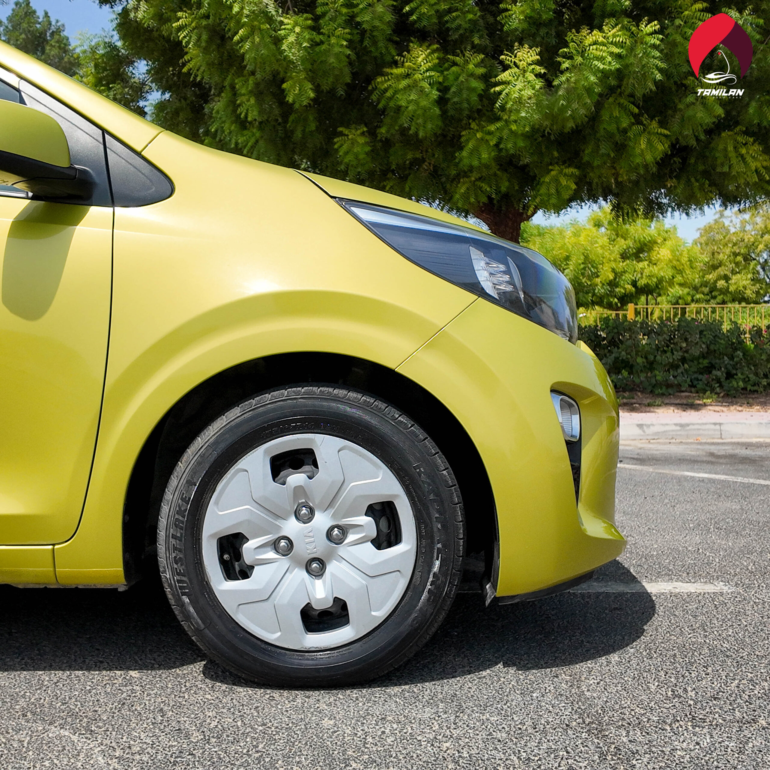 
								2020 | Kia Picanto | Green full									