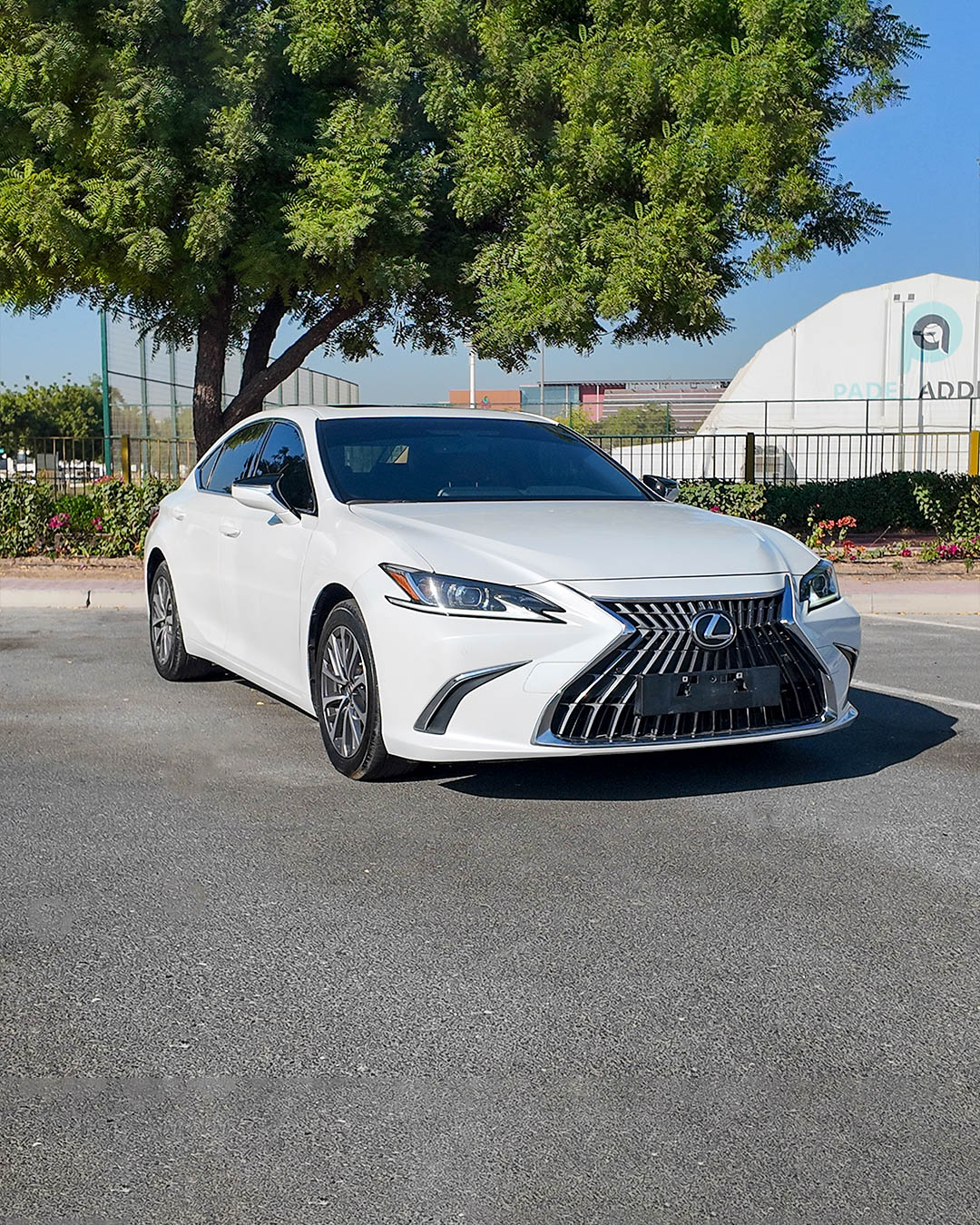 
								2022 | Lexus ES Series 350 Premier Top Option | 3.5L | White full									