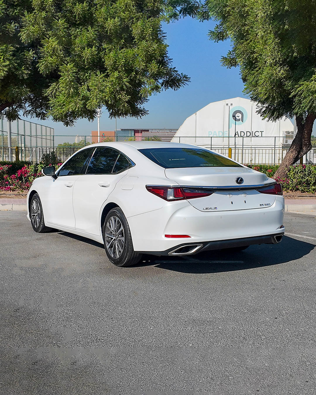 
								2022 | Lexus ES Series 350 Premier Top Option | 3.5L | White full									