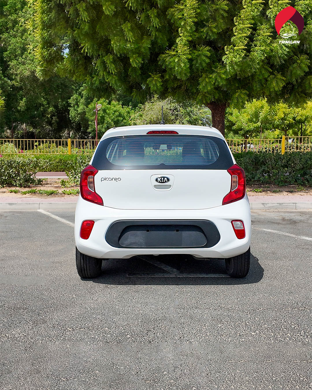 
								Kia Picanto 2020 White full									