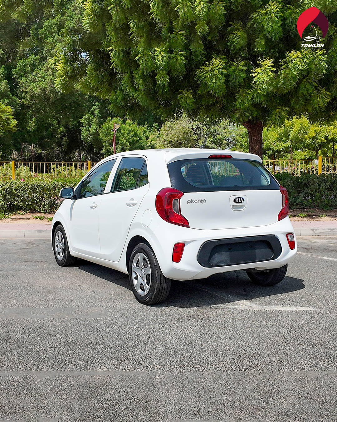
								Kia Picanto 2020 White full									
