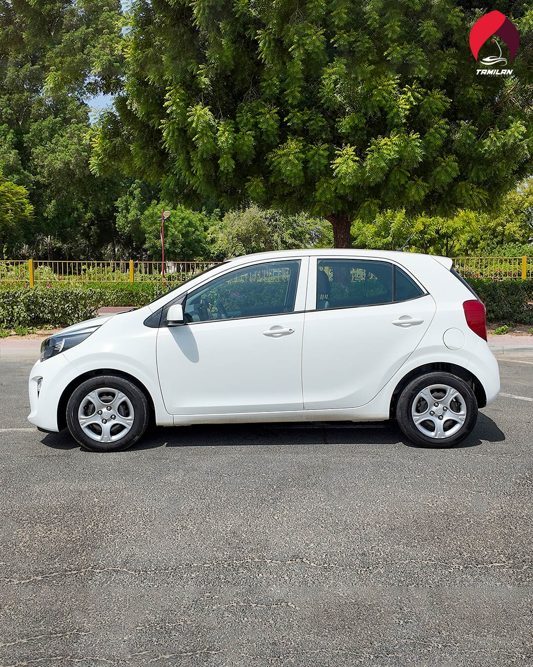 
								Kia Picanto 2020 White full									