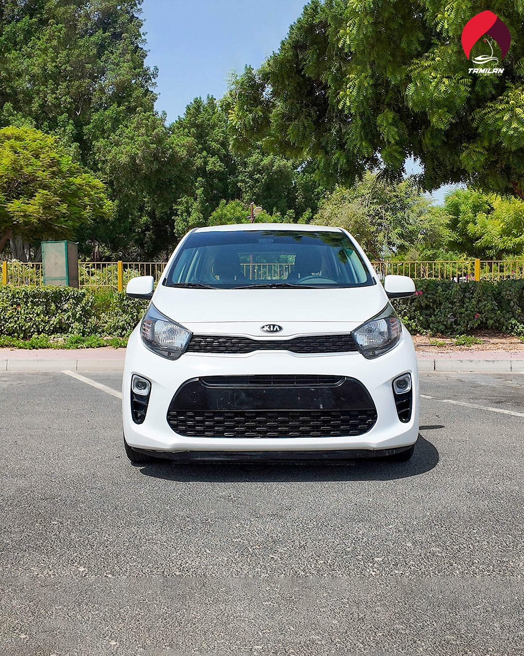 
								Kia Picanto 2020 White full									