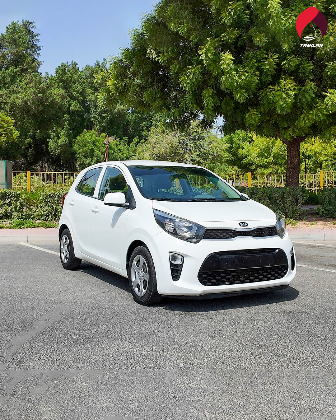 
								Kia Picanto 2020 White full									