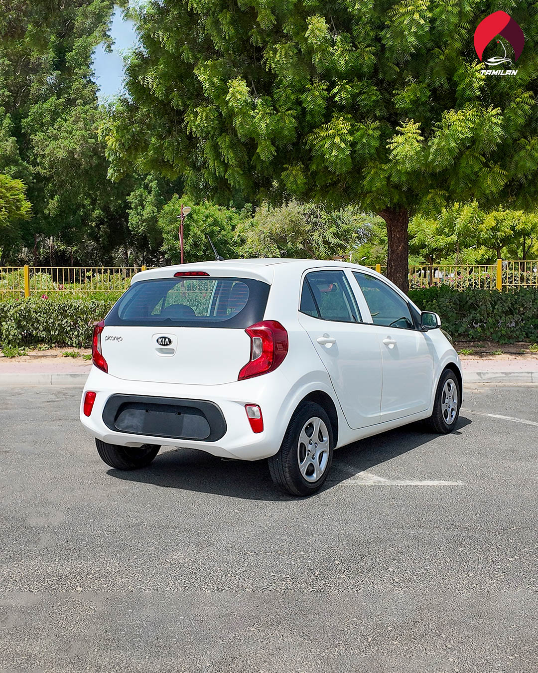 
								Kia Picanto 2020 White full									