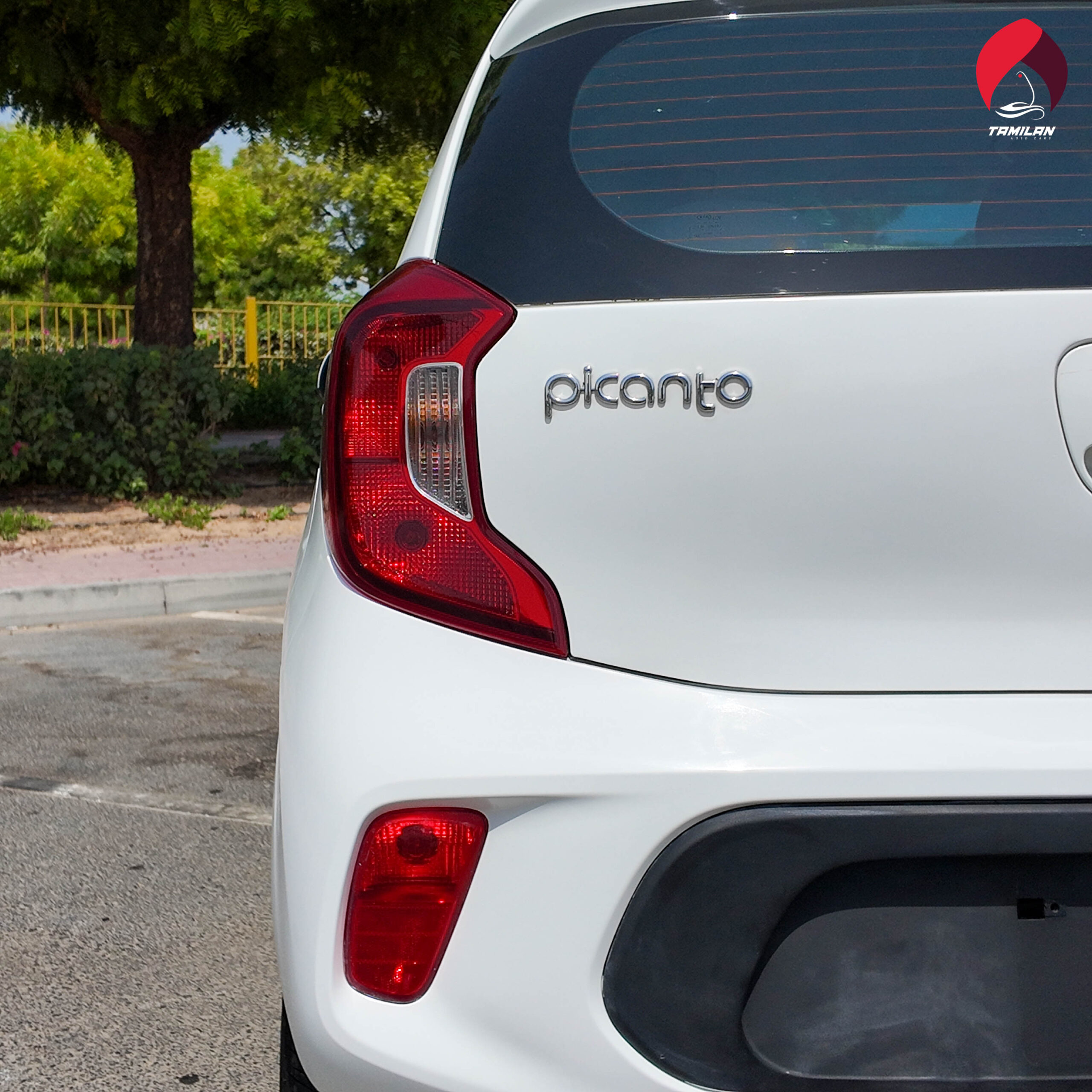 
								Kia Picanto 2020 White full									