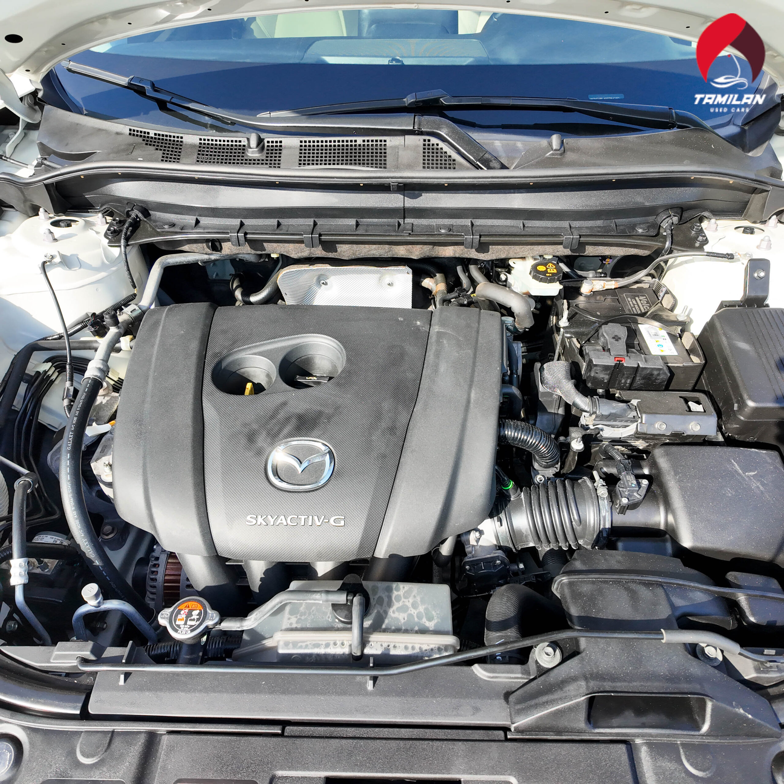 
								2023 Mazda CX-5 White full									